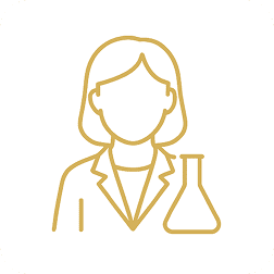 Desenvolvido por Especialistas