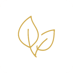 Ingredientes Premium